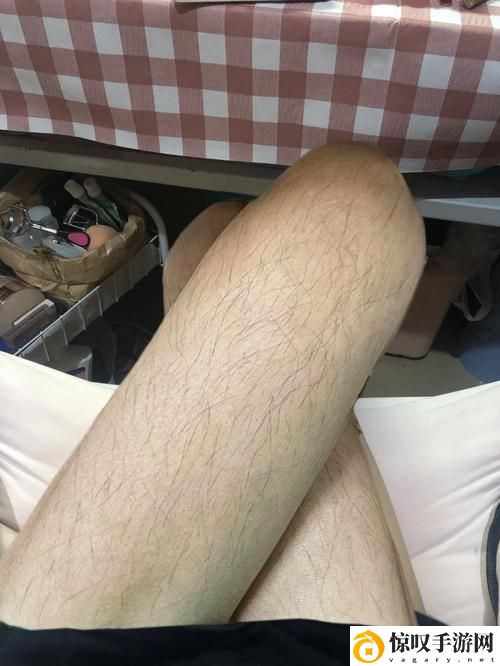 四川BBBBB毛毛多
