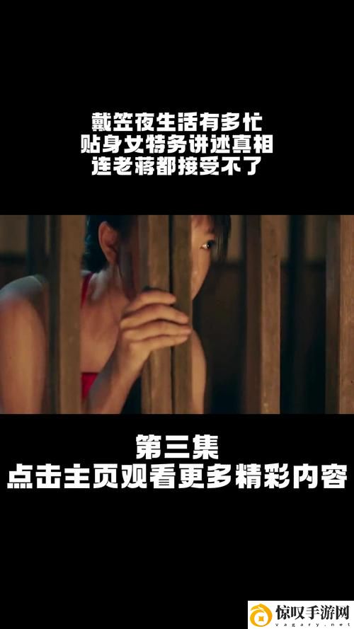 夜生活在线观看免费观看电视剧