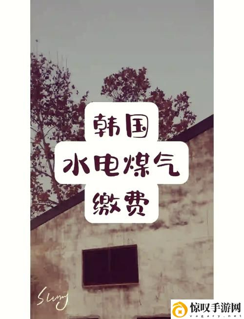 韩国三色电费