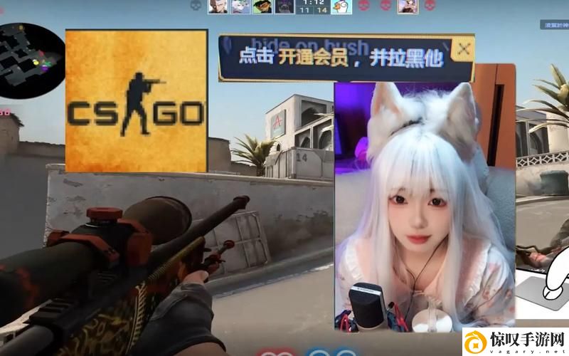 csgo暴躁阿姨高清大片1