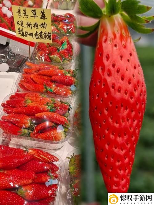 草莓香蕉十八岁可以吃吗